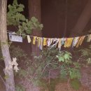 곰치농장 이미지