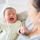 행복해질 개 이미지