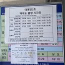 [1탄] 여수 하화도 배편 및 주차 방법과 하화도 백패킹 추천 후기