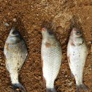 사후동저수지 이미지