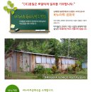 캔들나무 이미지