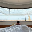아그네스관광농원 | 거제도감성숙소 거제 아그네스 파크 빌라 파노라마 뷰 스탠다드 룸 1박 후기