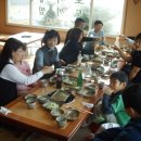 현순농장 Daum카페