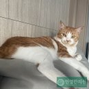 인영한의원 이미지