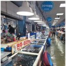 완주횟집 | 여수수산시장 여수의 맛과 신선함, 완주횟집 체험기