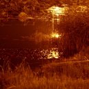 죽동체육공원 이미지