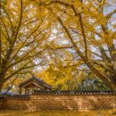 서정마을~서정저수지 이미지