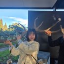 아부지농장 | 아그로돔 농장 투어 양털깎기 쇼 - 뉴질랜드 로토루아 가볼만한곳 추천