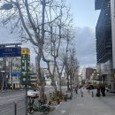 티아라피부관리실 | 서울/ 청담피부관리 티리온엑스 윤곽관리 엘바이세븐(L by 7) 청담헤드스파 추천