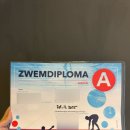 수영(A) | 수영 디플로마 A 합격 후기