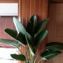 진안한라관광 이미지