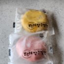 보드레모시떡송편중마점