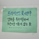 금싸빠 부천원종점 : 24시간 무인 꽃집
