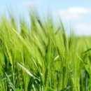 농축농장 이미지