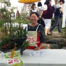 중앙접시 이미지