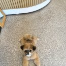 홍글몽글 이미지