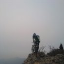 엄사약국 이미지