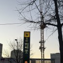 지에스25분당신원점 | 서울시금치김밥 제철맞은김밥 안국역팝업 김밥대장김밥팝업