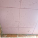 신서귀로76번길 이미지