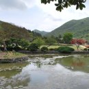 울돌목 숭어