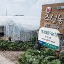 주성농장 이미지