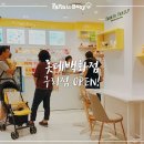 팜투베이비(롯데백화점 구리점) 네이버블로그