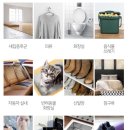 우주라이크 화순점 | [광주피크닉]살균탈취제추천, 홀리퓨어피톤치드원액,편백수