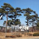 나무숲소 | 강원도 인제 자작나무숲 맛집 추천 "자작자작식당" 찐 후기