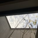 스테이반시