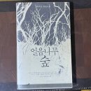 얼음나무 숲 책 줄거리 후기, 클래식 음악 미스터리 판타지 추천 이유