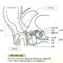 문정힐스 동물병원 이미지