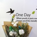 하안도깨비 이미지