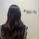 서초대로 132 이미지