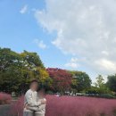 GS25 하남공원점 | 하남 미사경정공원 핑크뮬리 데이트 후기