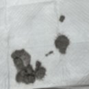 다나음동물병원 이미지