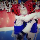 거인태권도 이미지