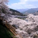 남해대교 이미지