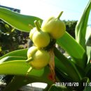 등대와올레길 이미지