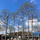 황학산 | 🌺 여주 아이랑 가볼만한곳｜황학산수목원 후기 (무료입장 + 나들이코스 + 수유실 완비)