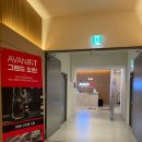 아바니핏 이미지