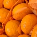 광진농장 이미지