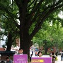 정태흥 카카오 검색결과