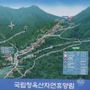 향수 오토캠핑장 이미지