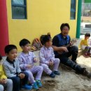 대관령체험학교 Daum카페