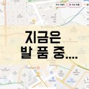 더원태권도 | 발품 팔기 계속!부산 여기저기 도장 자리 찾기 🏃‍♂️