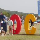 가평글로벌 이미지