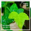 황새울로200번길 이미지