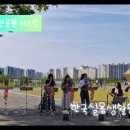 월광수변공원 버스킹 이미지