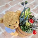 농촌체험농장 광양조은다육 남도장터 체험꾸러미 체험투어의 모든것 이미지