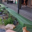 카페그냥 이미지